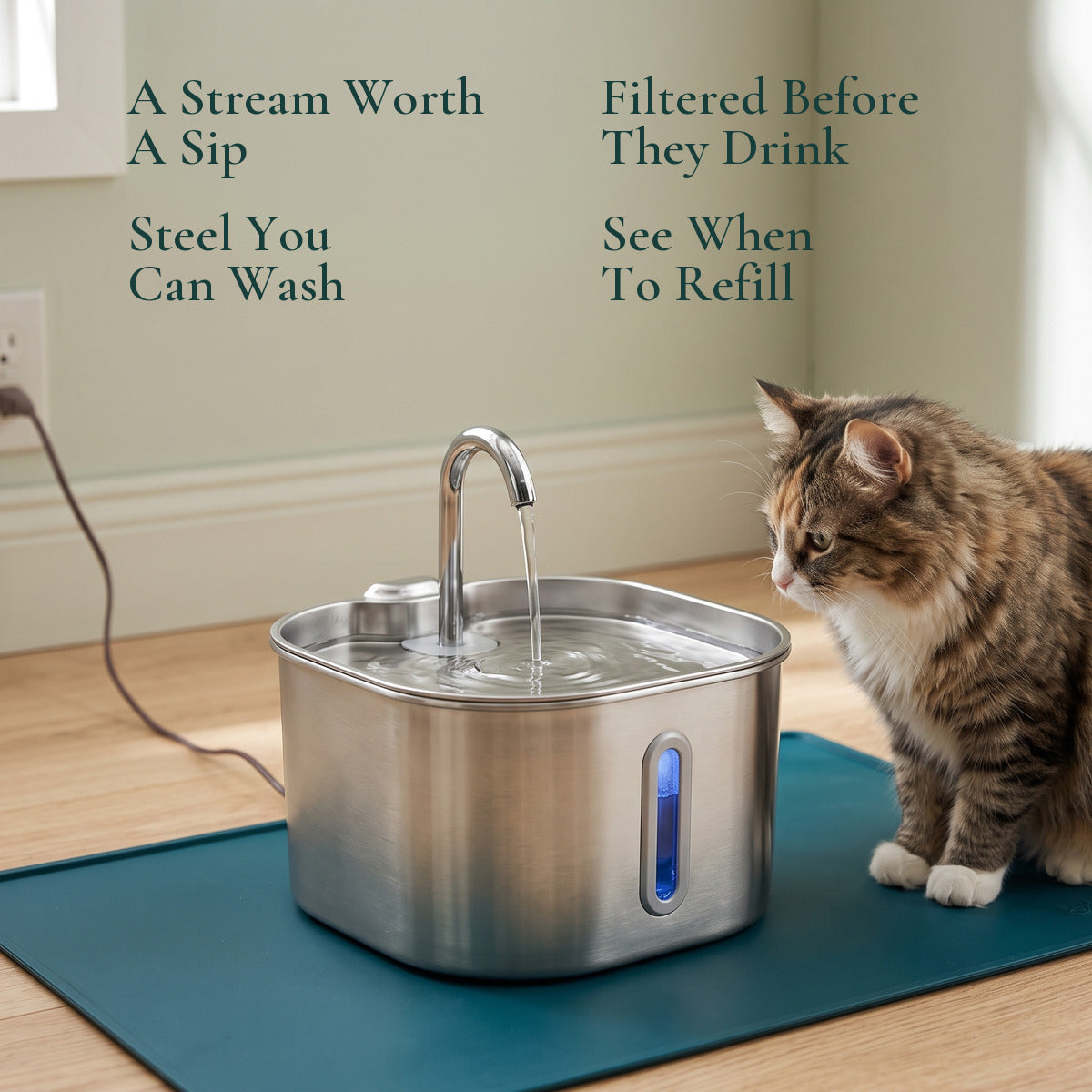 Four reasons to choose the Brook & Paw cat fountain