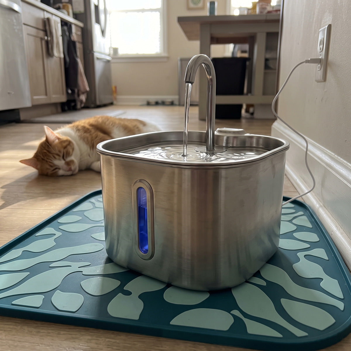 Fountain beside everyday cat bowls
